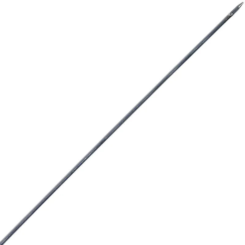 Aasnaald inox 2 stuks