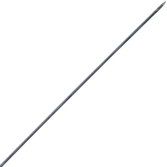 Aasnaald inox 2 stuks