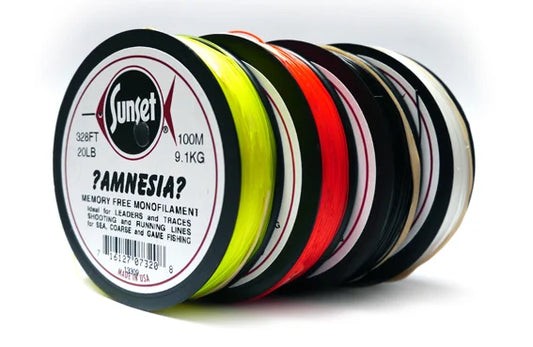 Amnesia
